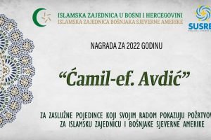 Camil Avdic (1)